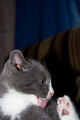 View _MG_2985.jpg