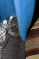 View _MG_3004.jpg