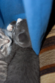 View _MG_3005.jpg