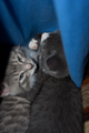 View _MG_3006.jpg