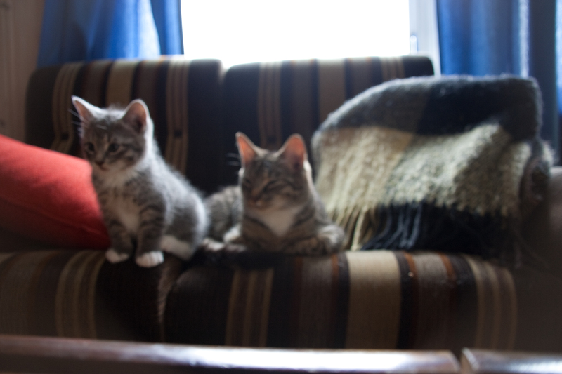 _MG_2952.jpg
