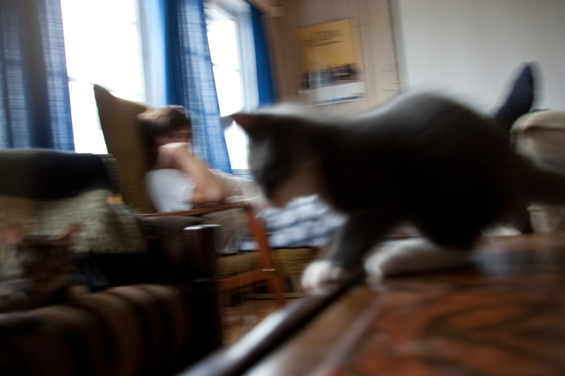 _MG_2965.jpg