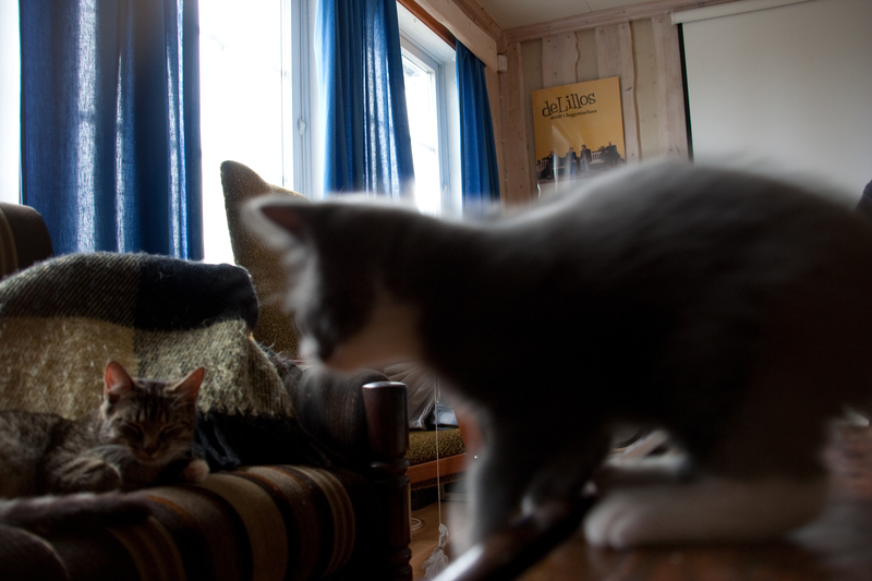 _MG_2970.jpg