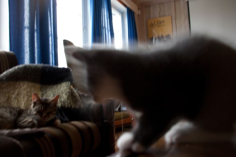 _MG_2971.jpg