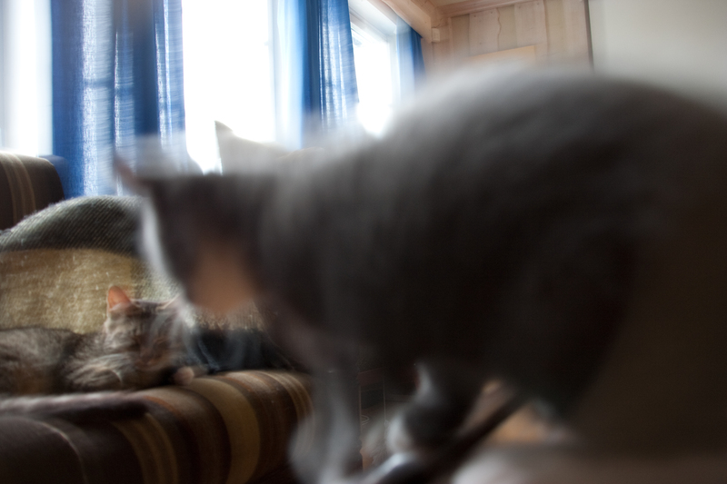 _MG_2972.jpg