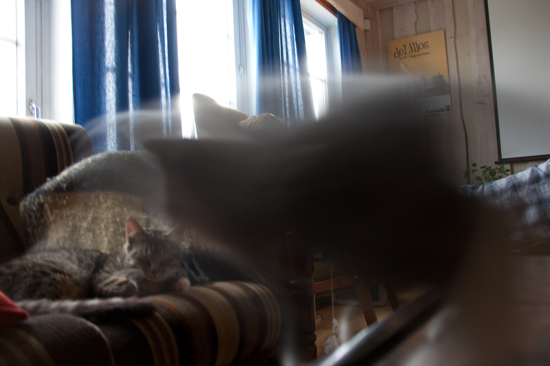 _MG_2974.jpg
