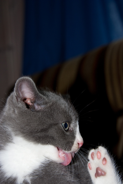 _MG_2985.jpg