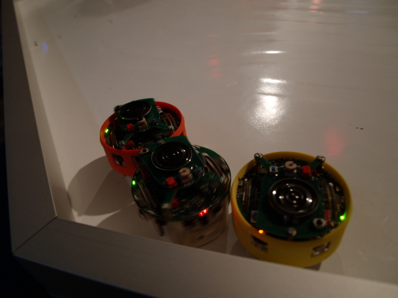 p4020305.jpg