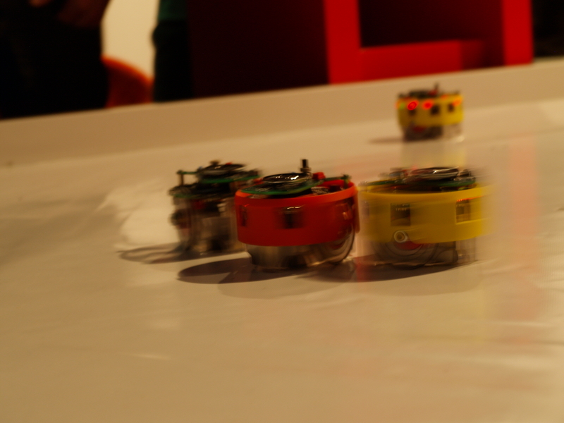 p4020313.jpg