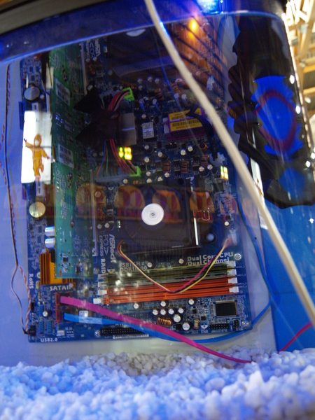 p4040312.jpg